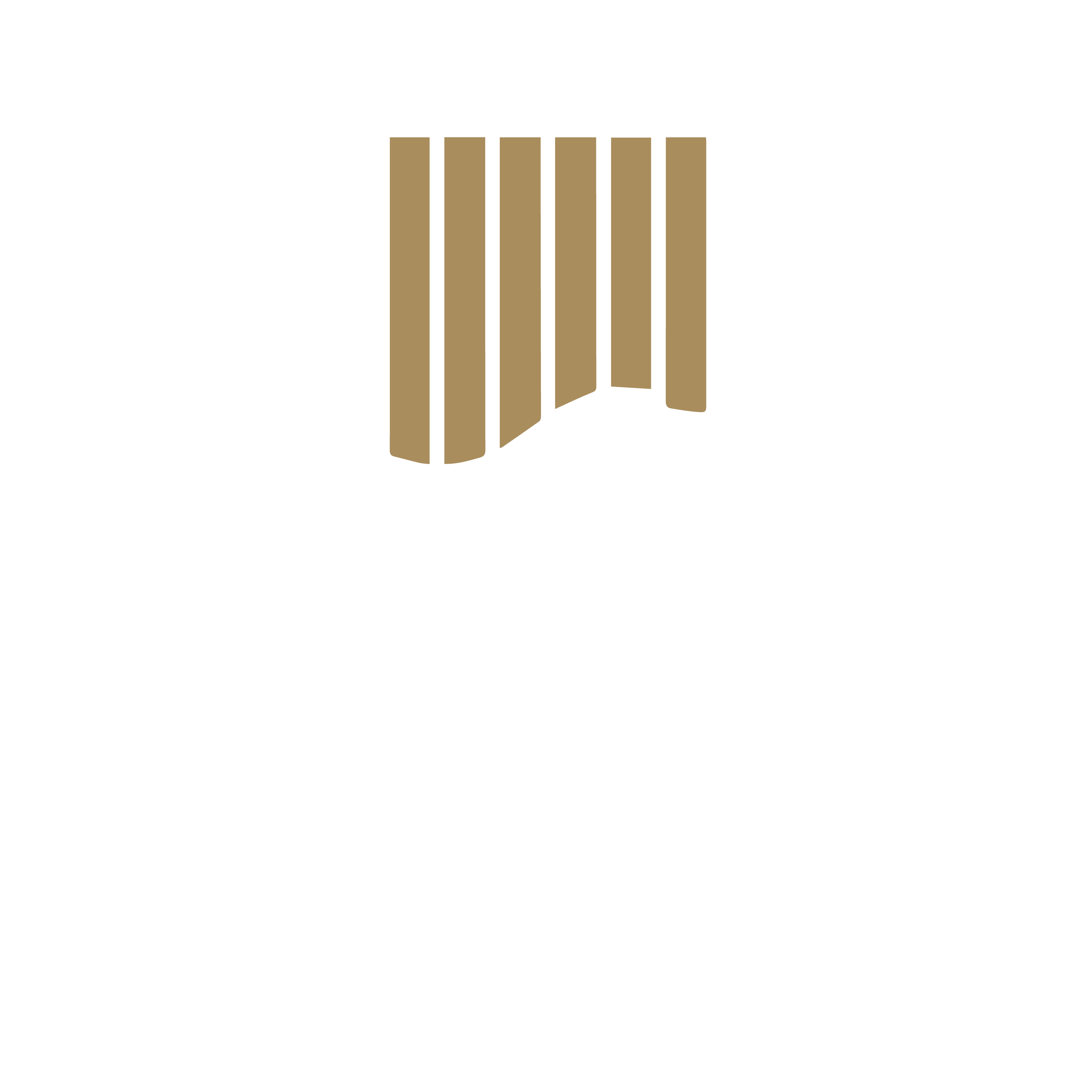 Studio Zavesa